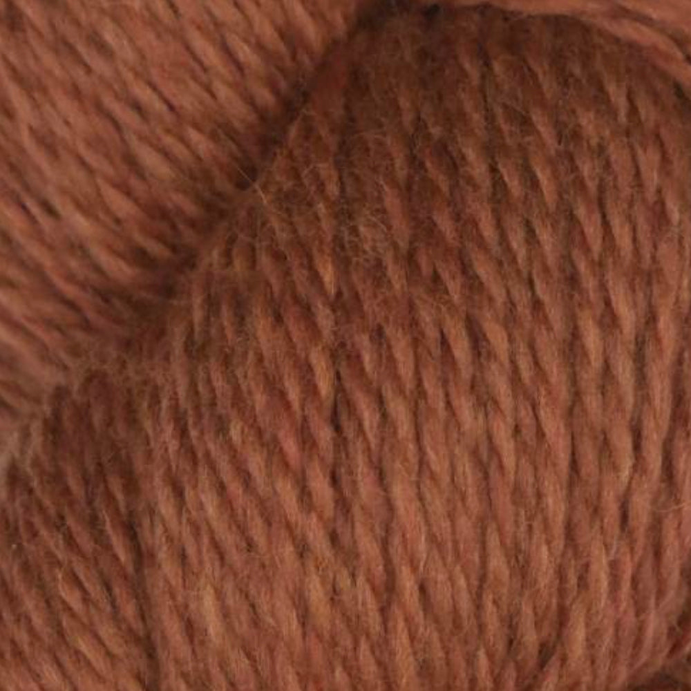Rambouillet Merino