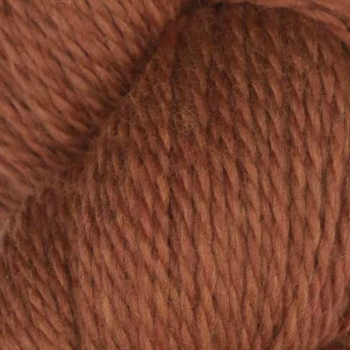 Rambouillet Merino