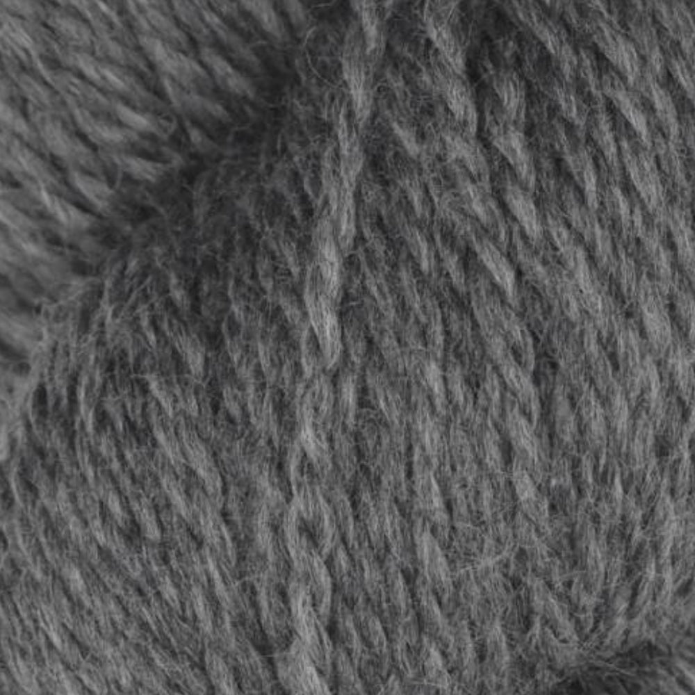 Rambouillet Merino