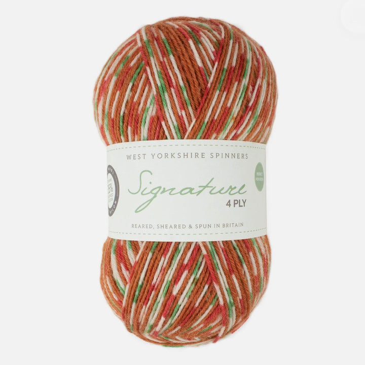 West Yorkshire Spinners Signature 4-Ply