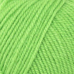 Plymouth Yarn Encore