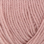 Plymouth Yarn Encore