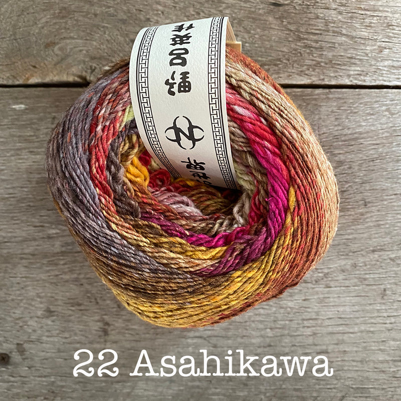 Noro Tsubame