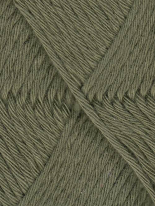 Coastal Cotton