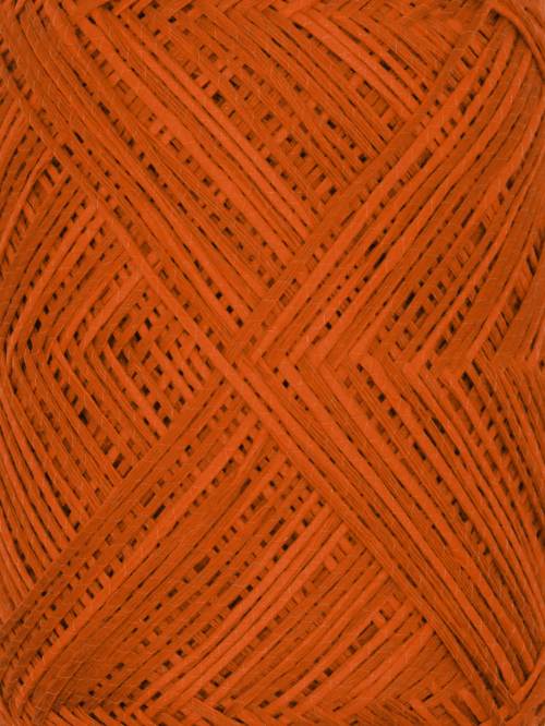 Noro Asaginu