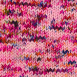 Plymouth Worsted Merino Superwash Hand Dyed - Haus of Yarn