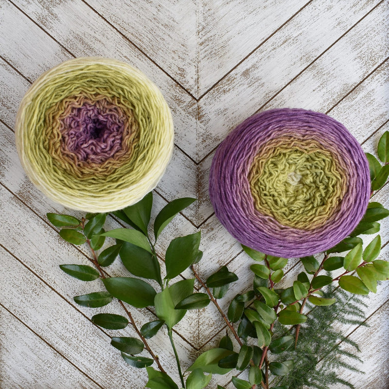 Frabjous Fibers Blossoms - Haus of Yarn