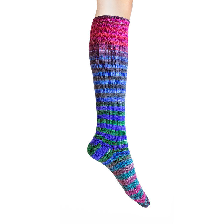 Uneek Sock Kit - Haus of Yarn