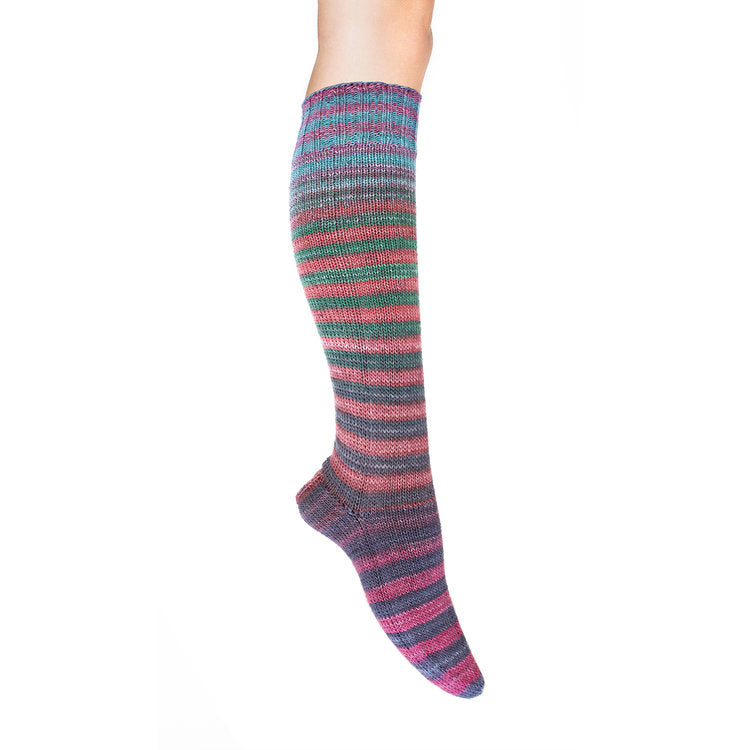 Uneek Sock Kit - Haus of Yarn