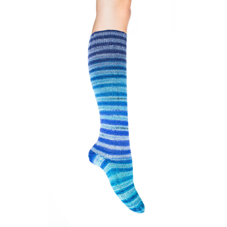 Uneek Sock Kit - Haus of Yarn