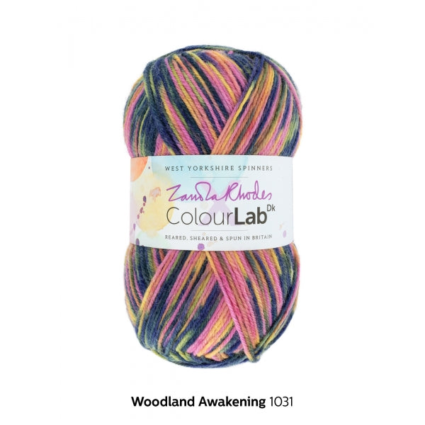 West Yorkshire Spinners Colourlab DK