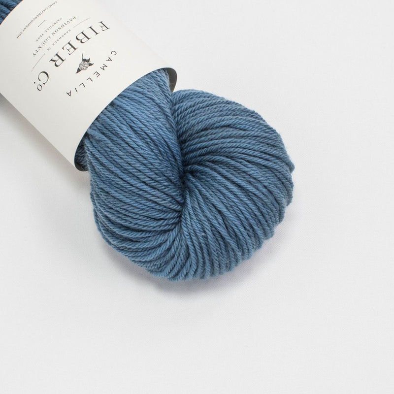 Camellia Fiber Co Merino Worsted - Haus of Yarn