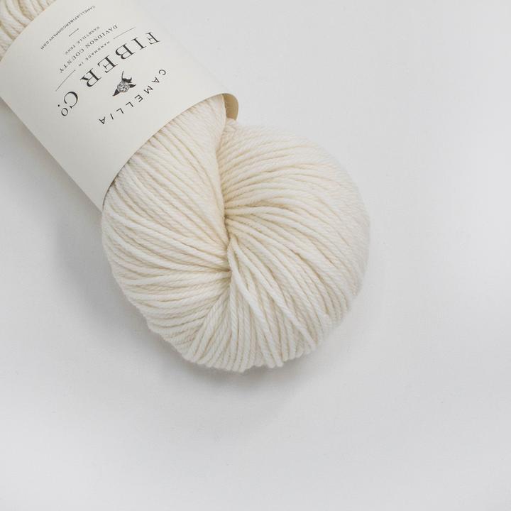 Camellia Fiber Co Merino Worsted - Haus of Yarn