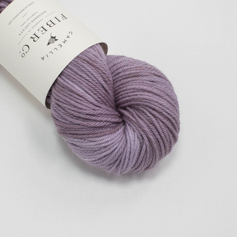 Camellia Fiber Co Merino Worsted - Haus of Yarn