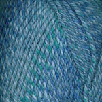 Plymouth Yarn Encore Colorspun - Haus of Yarn