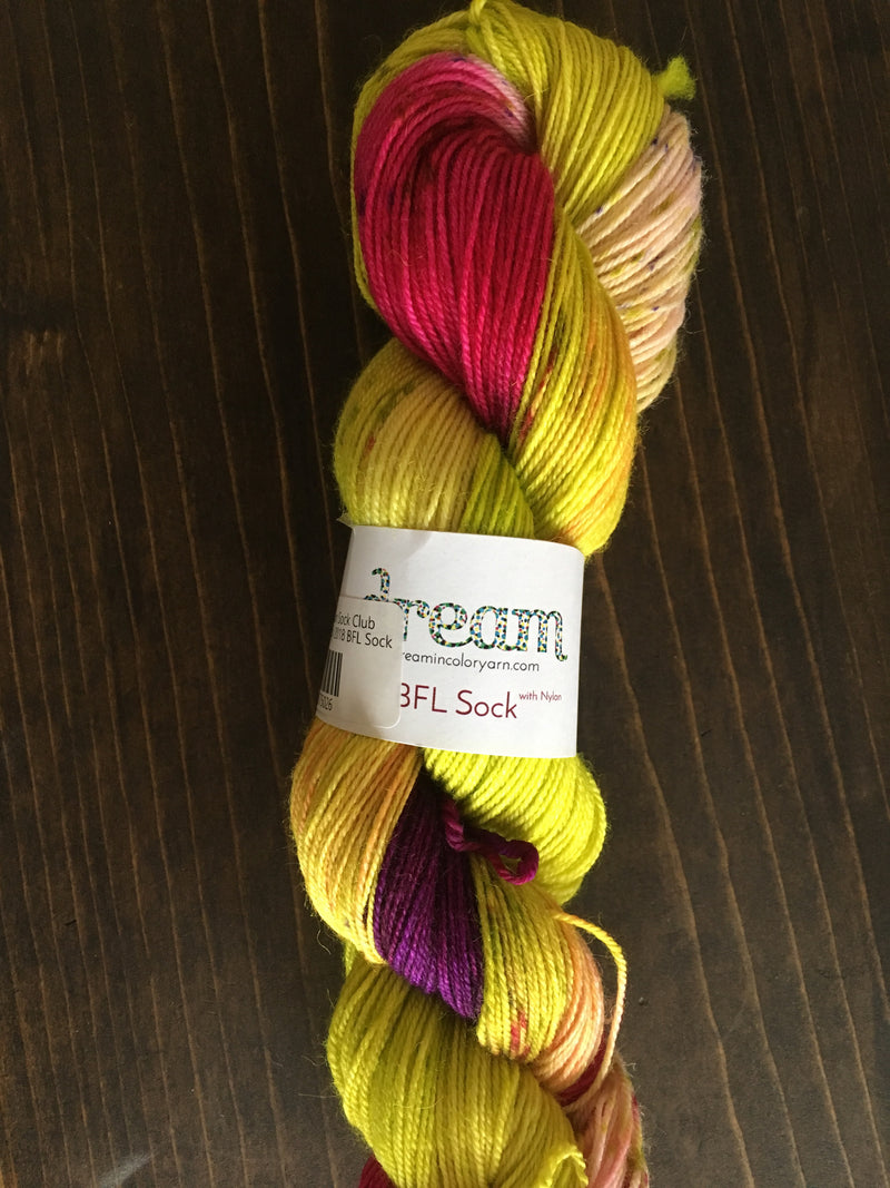 Dream In Color Sock Club - Haus of Yarn