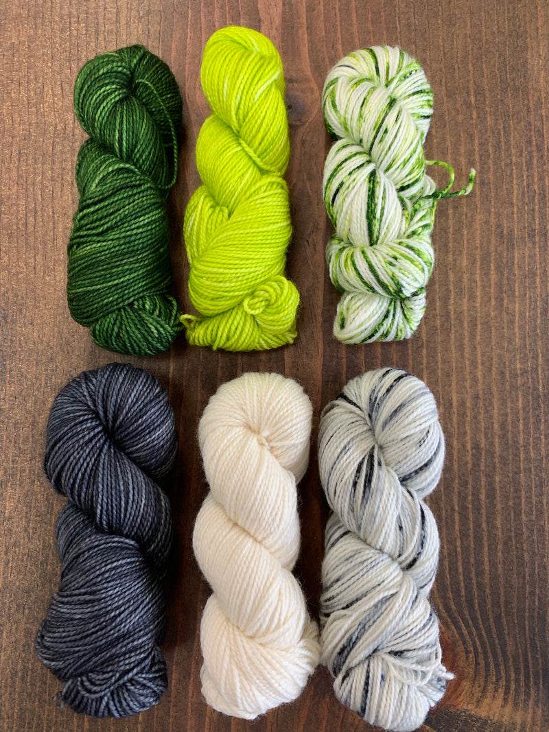 Backyard Fiberworks Mini Skein Pack - Haus of Yarn