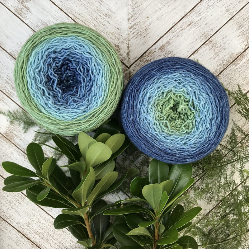 Frabjous Fibers Blossoms - Haus of Yarn