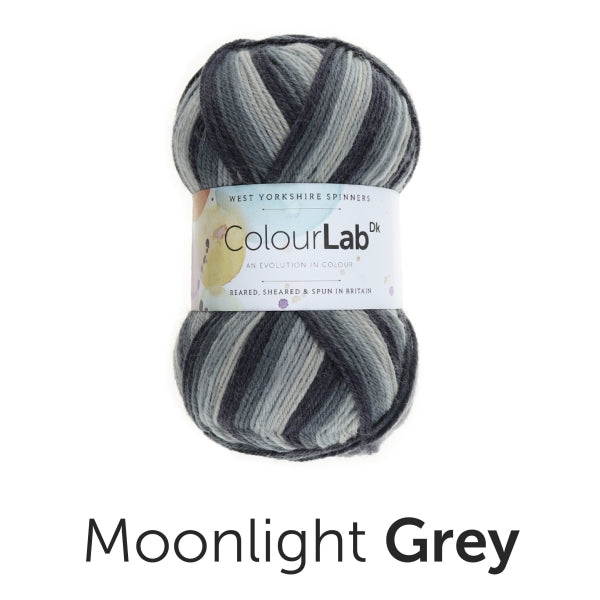 West Yorkshire Spinners Colourlab DK