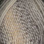 Plymouth Yarn Encore Colorspun - Haus of Yarn